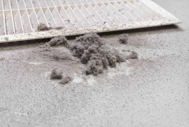 Best Ductwork Cleaning Services  in Richmond West, FL