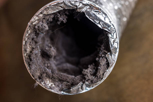 Best Best Air Duct Cleaning Company  in Richmond West, FL